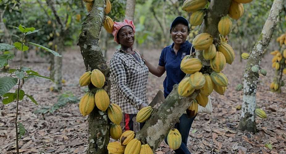 The Writer with a Cocoa Farmer in Ghana during a field visit