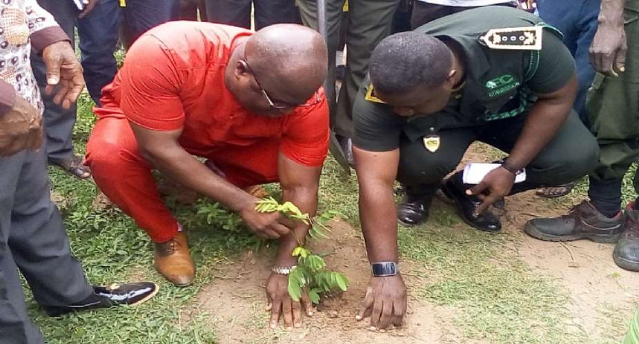 GES, Forestry Services Division Plant Trees