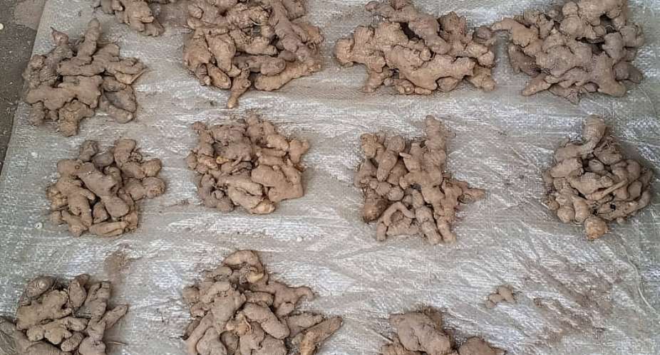 High ginger prices raises concern amongKadjebitraders