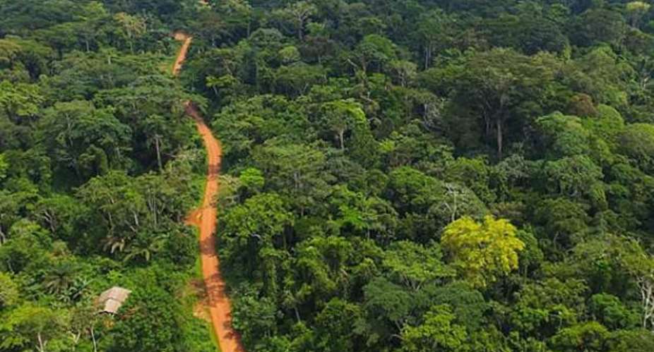 How best can Ghanaians creatively protect the remainder of their bankrupted Republics priceless biodiversity rich rainforests?