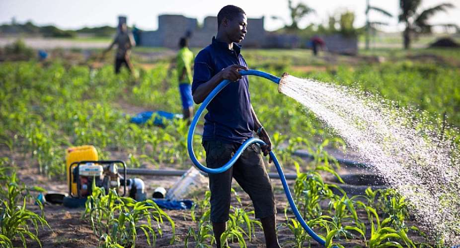 The $3.5 Billion Bet on Ghanas Soil: Why the AgriConnect Compact Could Transform Farming Forever