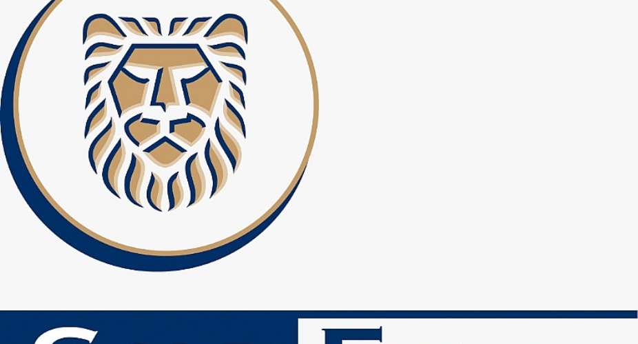 Delay in Gold Fields Lease Renewal Scaring Investors — CEMSE Boss Warns Government