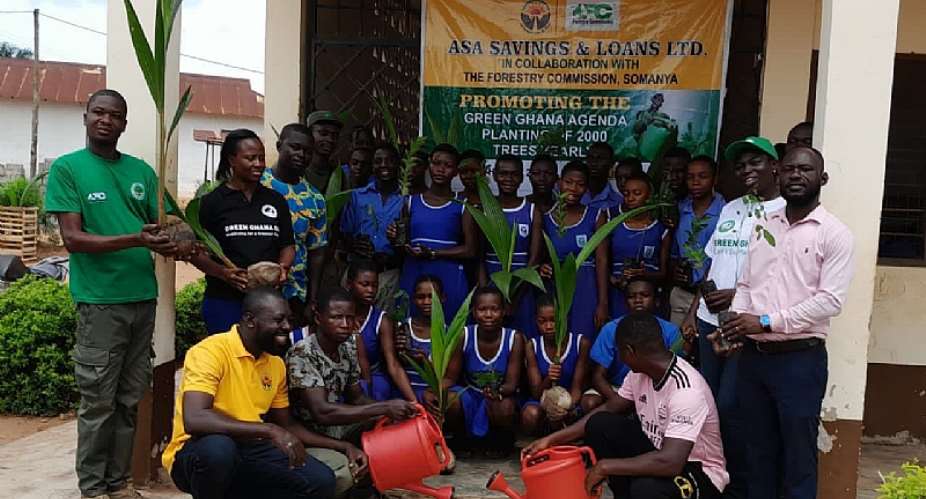 ASA Savings and Loans embark on tree planting exercise in Somanya