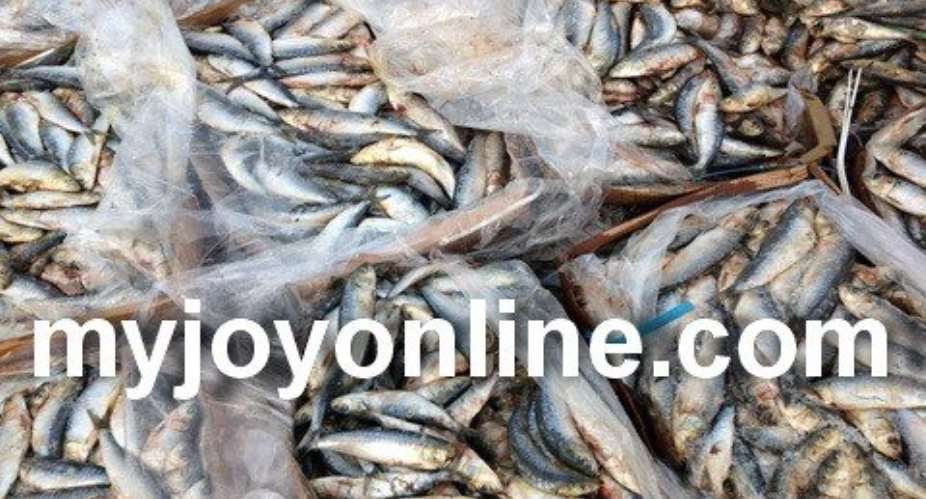 Ban on galamsey has increased our catch - Ankobra Fishermen