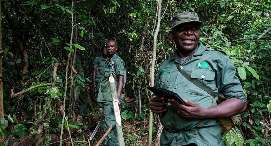 Duayaw Nkwanta Forest Under Threat By Encroachers