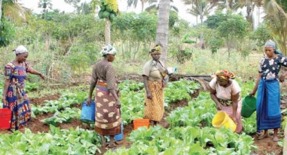 Women farmers make input into Assemblies MTDPs