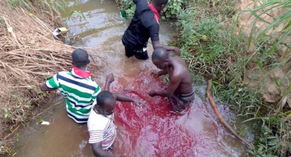 Some aggrieved NPP members at Juaben slaughtering a sheep in 'Asuo Abena' over MP polls