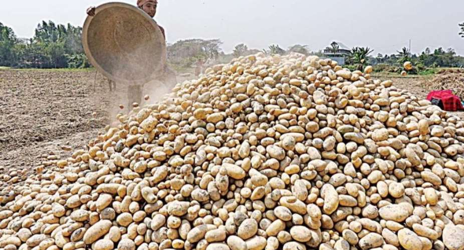 Bangladesh's potato assistance to Sri Lanka reminds the urgency of SAARC revival