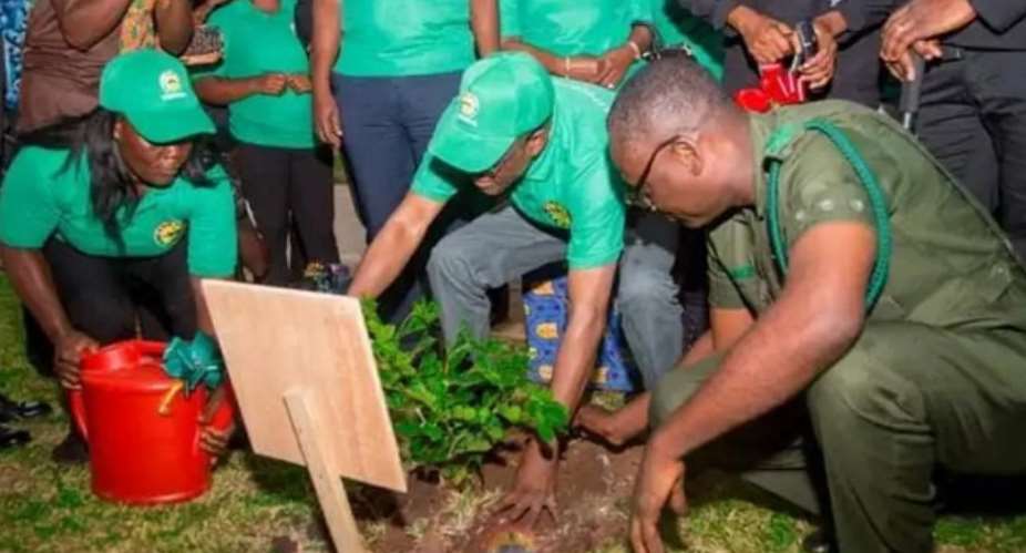 Dont say there is galamsey so you wont plant trees – Speaker Bagbin tell MPs