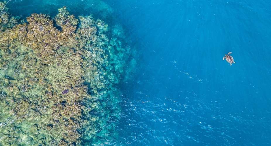 Awakening New Depths for Sustainable Ocean Management