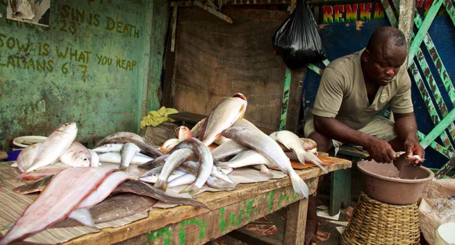 Ghana, Italy Agree To Promote Fishery Clusters