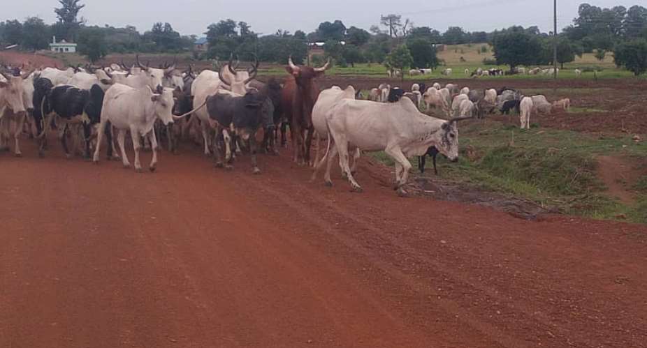 Animals Using Poor Entry Routes Into Ghana Worrying