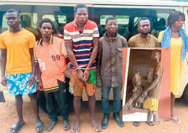 The suspects. INSET: One of the suspects with human bones