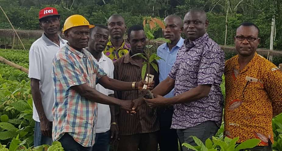 Tarkwa-Nsuaem farmers benefit from cocoa seedlings under PERD