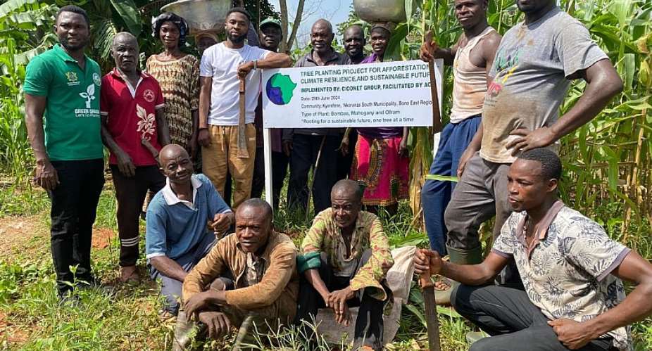 Nkoranza CiCoNet leads tree planting exercise