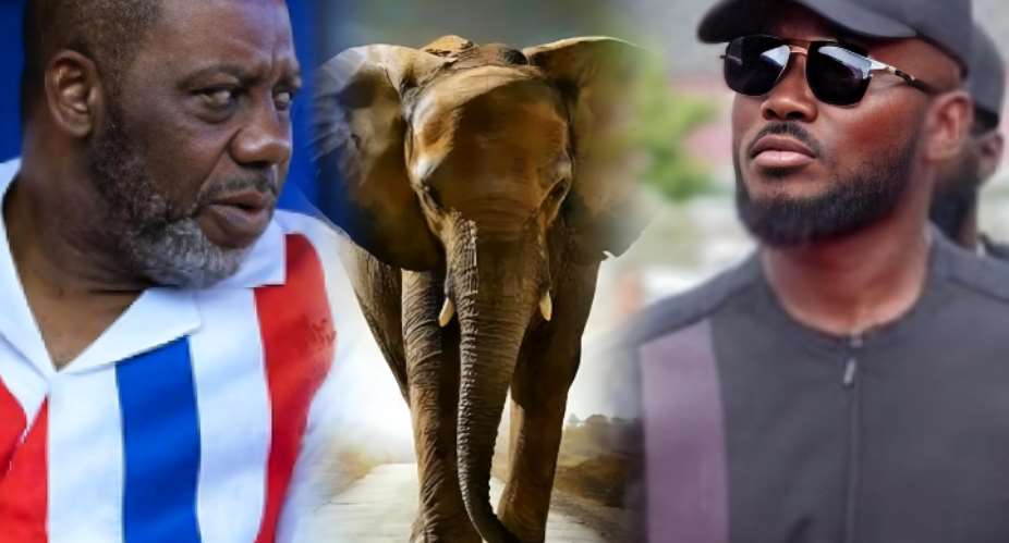 Ill smoke them out! – Kojo Bamba alleges powerful NPP figures plotting against NAPO