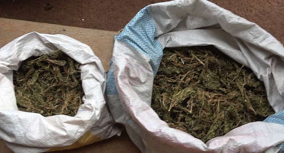 Three Handed 19years Each For Possessing Indian Hemp