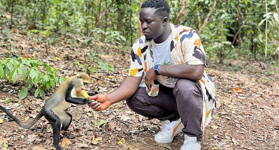 Me: feeding the monkey. Also me: should we be building a better sanctuary? The question isnt how well we feed today; its whether were building for tomorrow.
