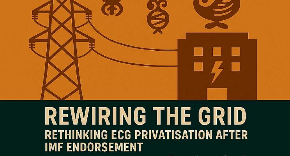 Rewiring the Grid: Rethinking ECG Privatisation After IMF Endorsement