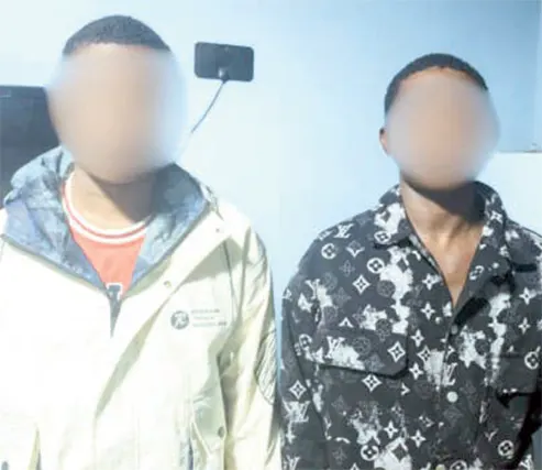 The suspects