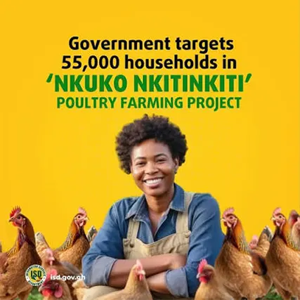 Nkoko Nkitinkiti And The Shortest Agricultural Value Chain