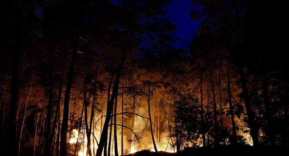 A wildfire burns in Noisy-sur-Ecole near Fontainebleau, southern Paris, France, July 12, 2026 -  Benoit Tessier, Reuters