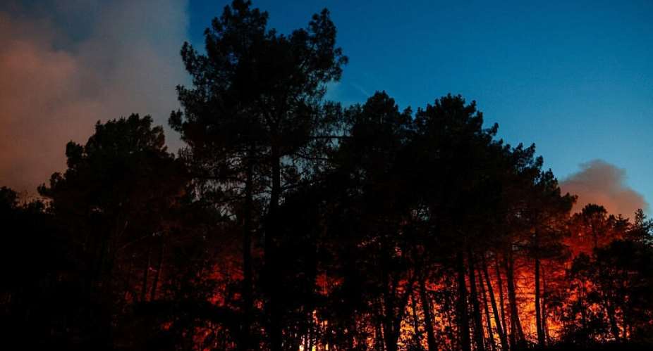 A wildfire burns in Noisy-sur-Ecole near Fontainebleau, France, 12 July 2026. -  Benoit Tessier/Reuters