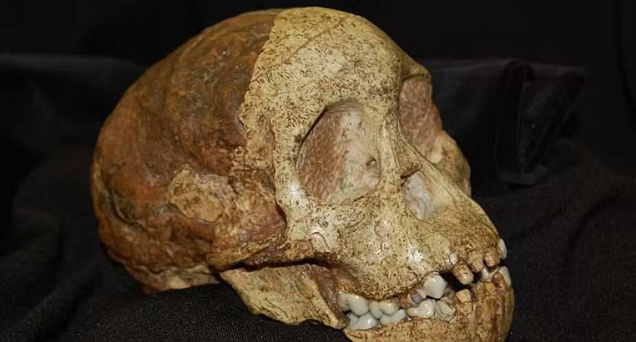 How old are South African fossils like the Taung Child? New study offers an answer