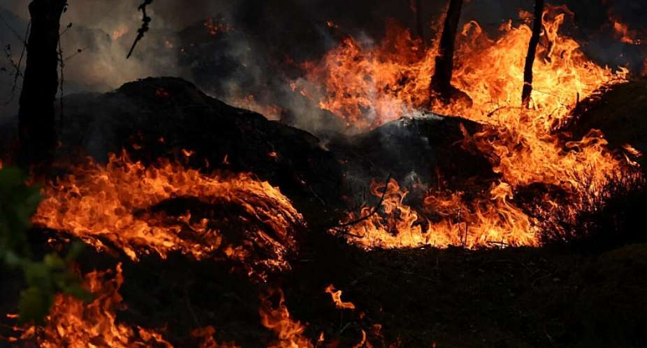 Two people have been arrested on suspicion of starting the blaz in Fontainebleau forest, which the interior minister says has not yet been contained. -  Stphane Mah / REUTERS