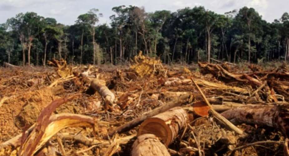 Destroying Ghana's Forests Does Not Make Long-Term Economic Sense - Indeed, It Is Downright Dangerous