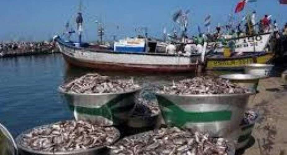 Saiko Fishing Continues Despite Gov't Assurance To End It