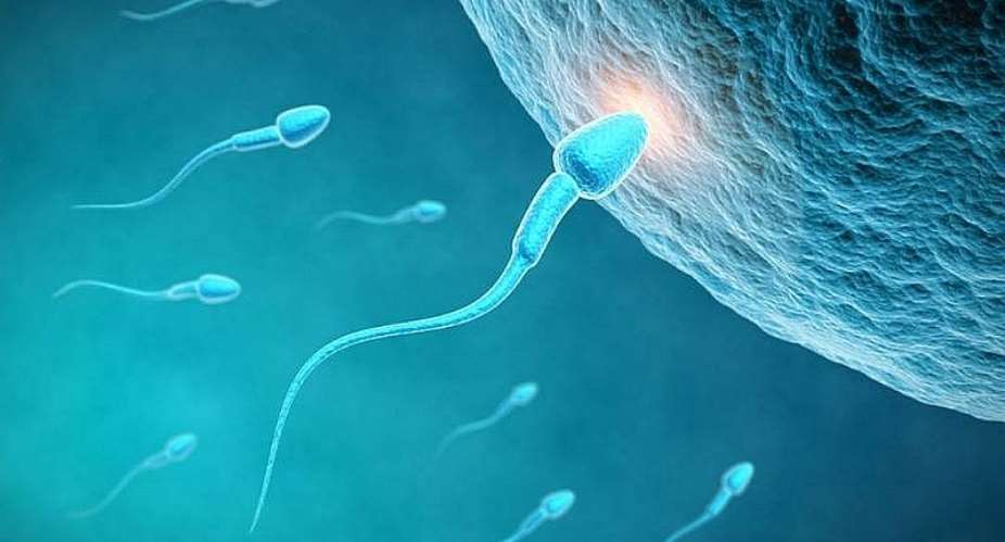 Semen Swallowing improves women’s mood and boosts pregnancy health.