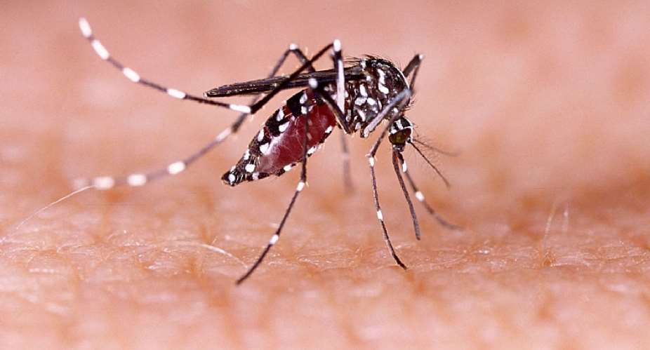 Dengue Fever: Two more cases recorded in Eastern Region; 57 samples being tested at Noguchi