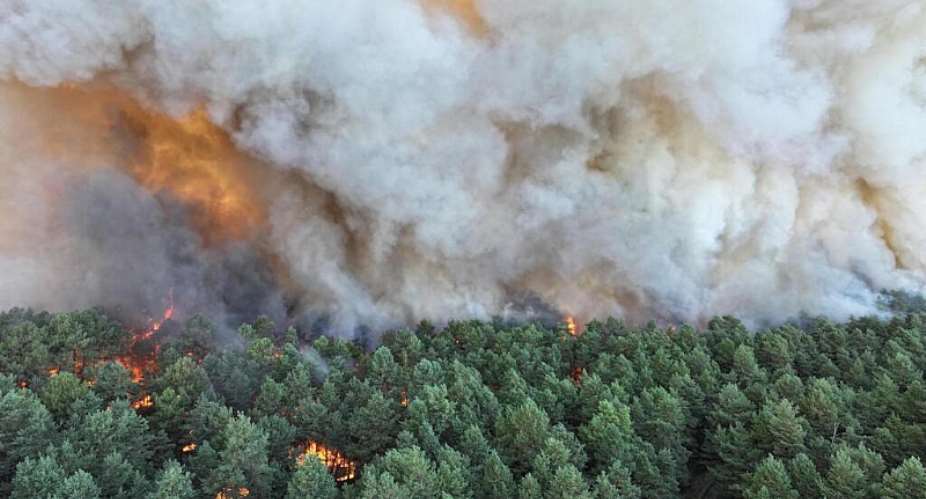 This handout photograph taken and released on July 12, 2026 by the SDIS 77 fire department shows a fire raging in the Fontainebleau Forest. - AFP - FRANCK DESPREZ