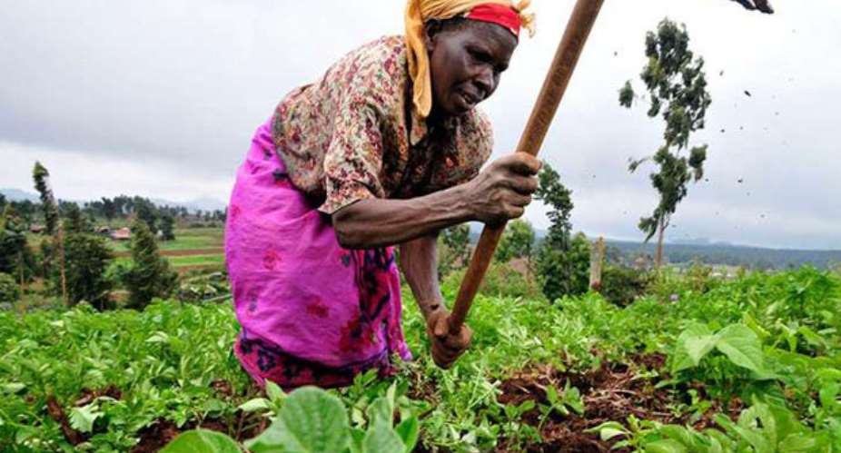 Good News For Planting For Food, Jobs Applicants