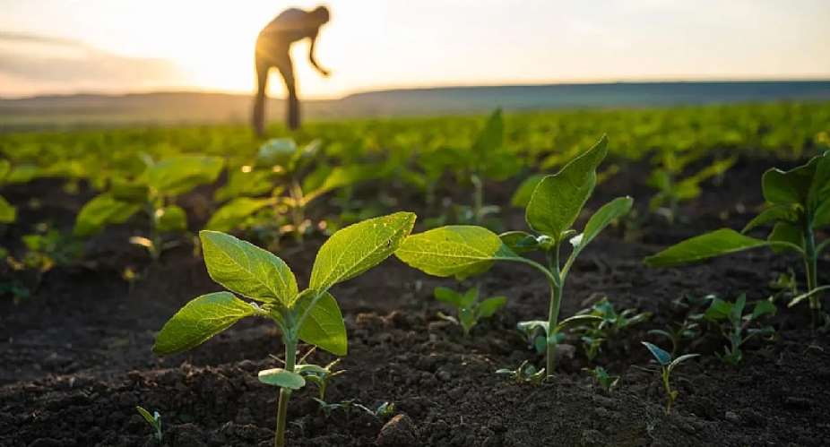Farming that Heals the Land–Climate Advocate Makes Strong Case for Regenerative Agriculture in Ghana