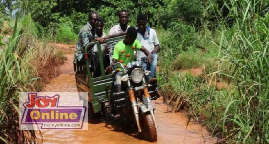 Drobong: Maize Produce Rotting On Farms As Bad Roads Cut Off Farmers From Market