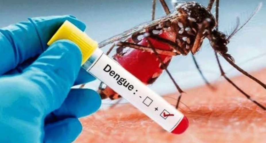 Dengue outbreak: Number of confirmed cases rise to 36