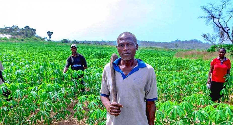 How the Nigerian government can prioritise agriculture to save the country