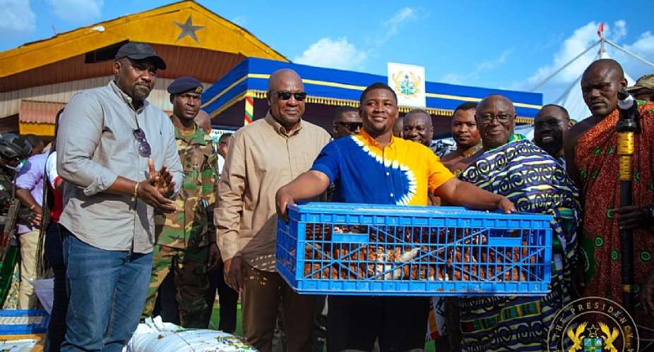 After the Chicks Are Distributed: Can Nkoko Nkitinkiti Turn Ghanaian Households into Poultry Businesses?