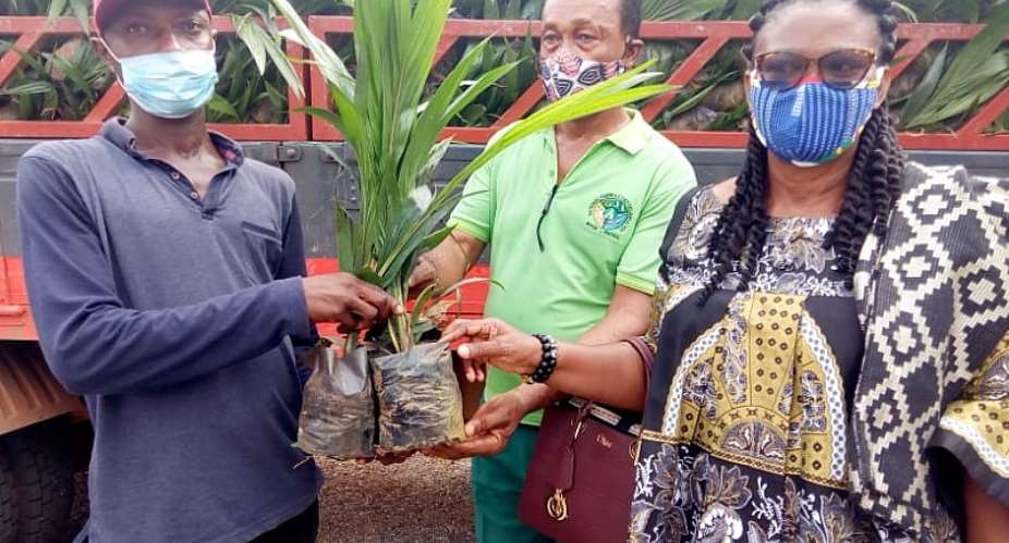 Government Delivers 20,000 Oil Palm Seedlings To Farmers