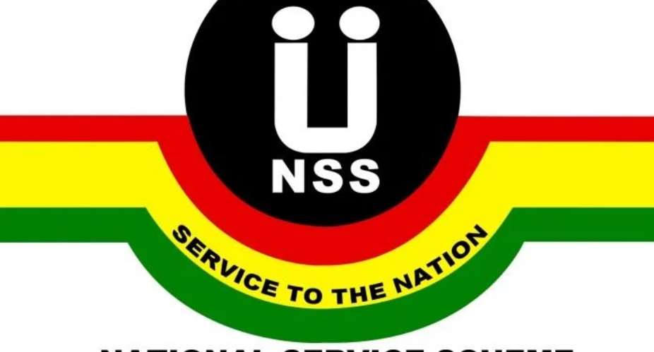 Election Year Gimmicks: NPPs Voluntary National Service Proposal Exposed