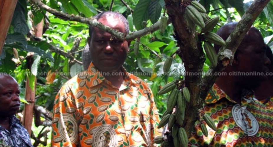 COCOBOD moves to address land tenure challenges
