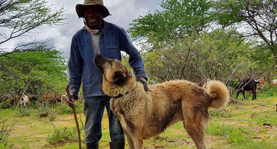  Cheetah Conservation Fund