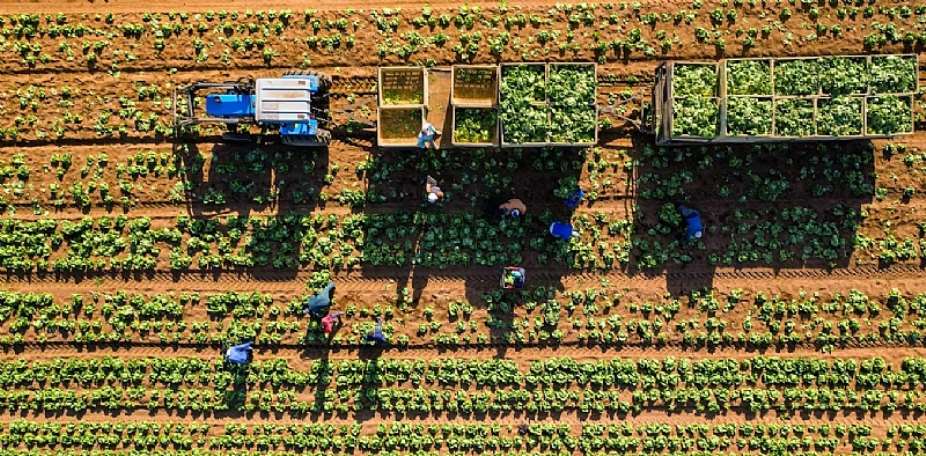 South Africa’s new agricultural leadership should focus on getting things done, not designing new policies