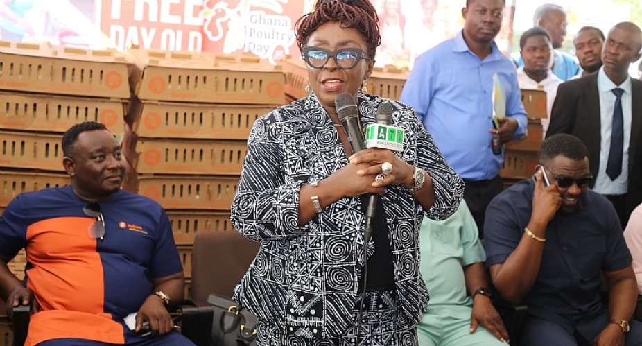 Ghana’s poultry sector can thrive with local investment - Tourism Minister
