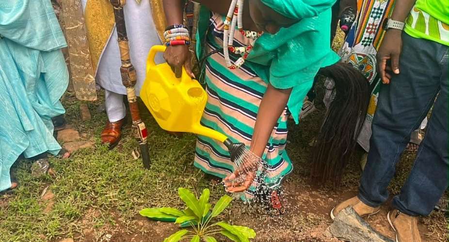 GSA Marks Shea Day with Strong Call to Restore Africa’s Shea Parklands