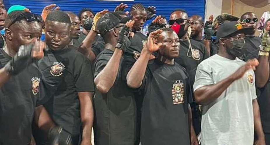 BNI allegedly detains two over launch of NPPs Lions Security group in Bolgatanga