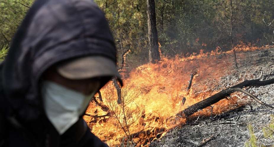 A forest officer battles a wildfire in a mountainous area near the town of Al Hachimia, Bouira Province, Algeria, 21 July. - AFP - -