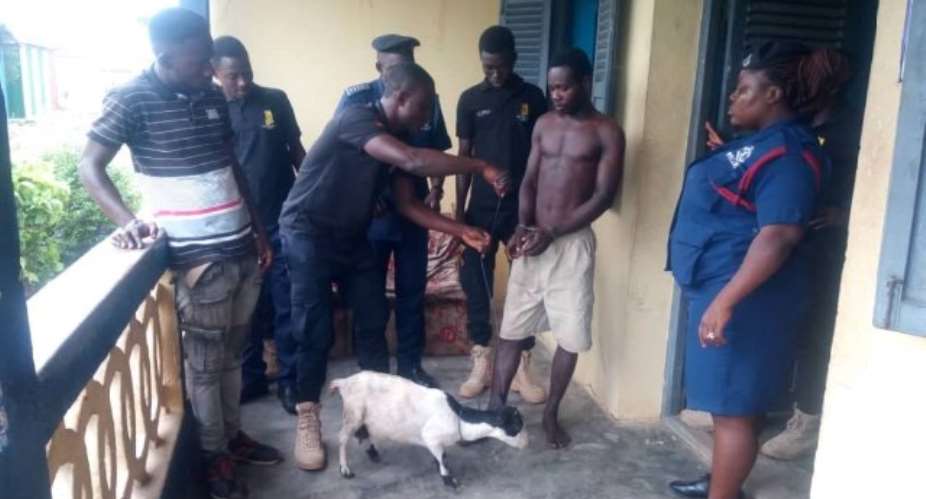 Man Arrested For Allegedly Having Sex With Goat